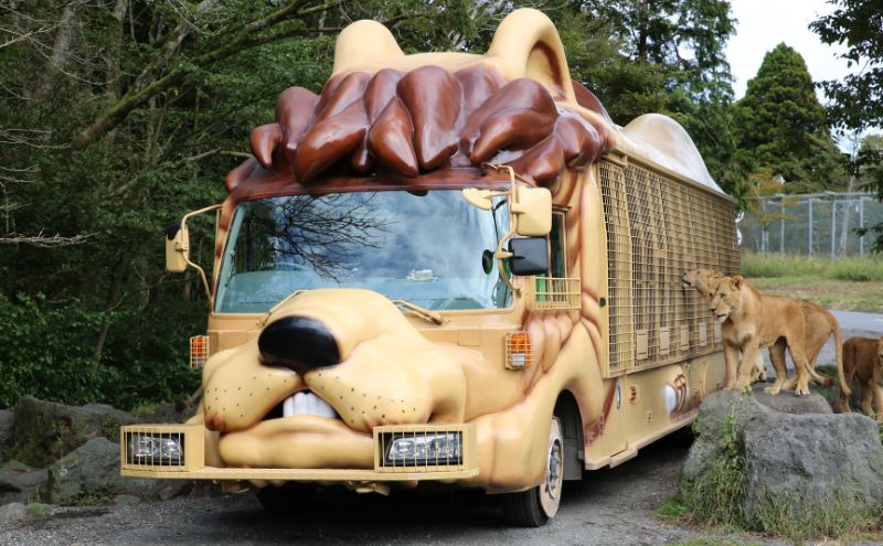 富士サファリパーク入園券 【大人2枚、小人3枚】 サファリパーク 動物園 動物 餌やり えさやり ふれあい 子供 こども 家族 お出かけ スポット 裾野市 裾野