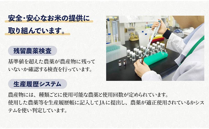 するがの極（きぬむすめ）5kg【お米・5kg】 白米 ライス ご
