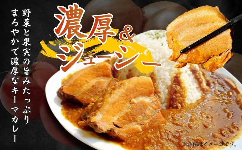 富士山角煮キーマカレー5食セット