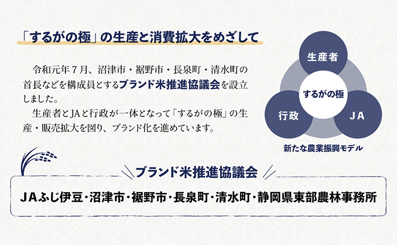 するがの極（きぬむすめ）5kg【お米・5kg】 白米 ライス ご飯 ブランド米 銘柄米 お弁当 おにぎり 一等米 芳醇な香り 旨み 精米