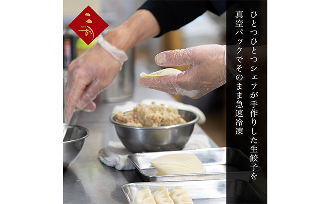 彩食健美 ニ胡  ふじのくにポーク使用 焼き餃子 230g×4袋