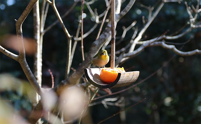 蕎仙坊・御食事券（15枚）