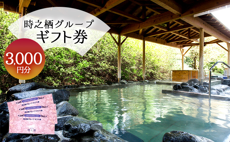 旅行 静岡 時之栖 グループ ギフト券 3,000円分 （1万円寄付コース） チケット 券 旅行券 宿泊券 食事券 利用券 ホテル 温泉 レストラン グランピング 施設 トラベル 観光 体験 旅 ギフト プレゼント 贈答 贈答品 贈り物 静岡県 裾野 裾野市