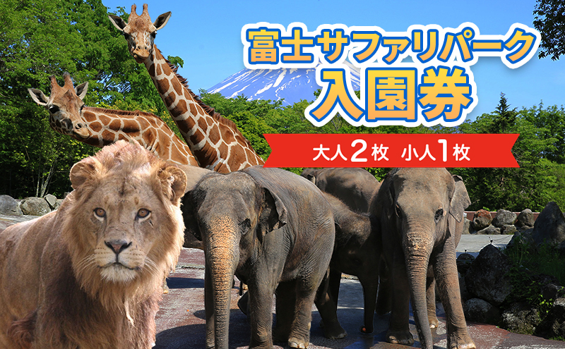 富士サファリパーク入園券 大人2枚、小人１枚 サファリパーク 動物園 動物 餌やり えさやり ふれあい 子供 こども 家族 お出かけ スポット 裾野市 裾野