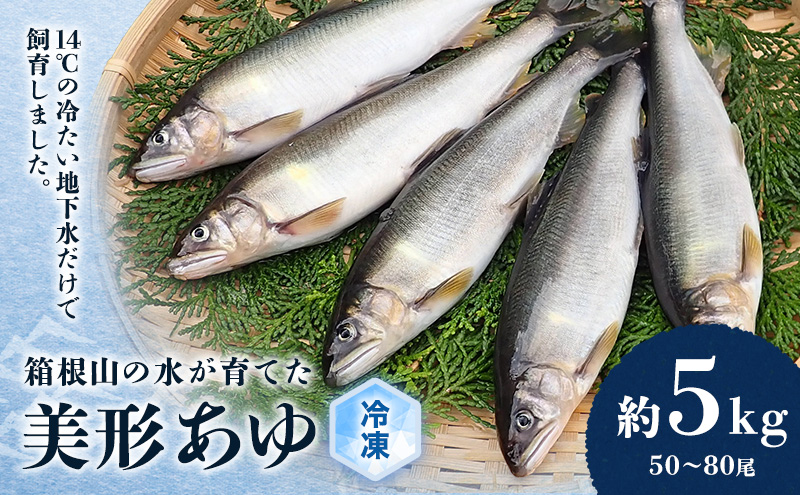 鮎 箱根の水が育てた 美形 あゆ 約5kg 50～80尾 魚 魚介 魚介類 鮮魚 川魚 生魚 塩焼き 冷凍 冷凍配送 静岡 静岡県 裾野 裾野市