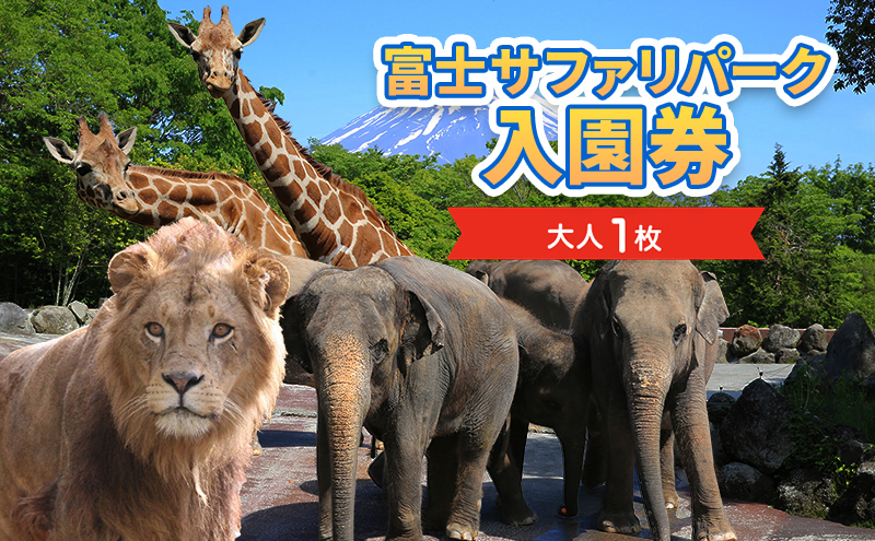 入園券 静岡 富士サファリパーク 大人 1枚 動物園 富士 サファリパーク 動物 体験 体験チケット チケット 券 子供 家族 お出かけ スポット 旅行 静岡県 裾野 裾野市