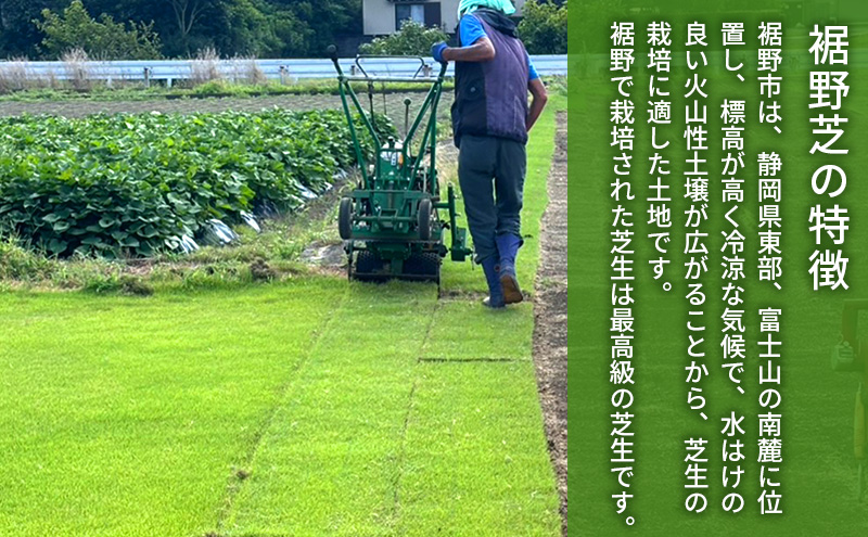 裾野芝（高麗芝）10ロール（10m2）単位　芝 芝生 ガーデニング DIY 庭 天然 天然芝 最高級 裾野市 静岡県