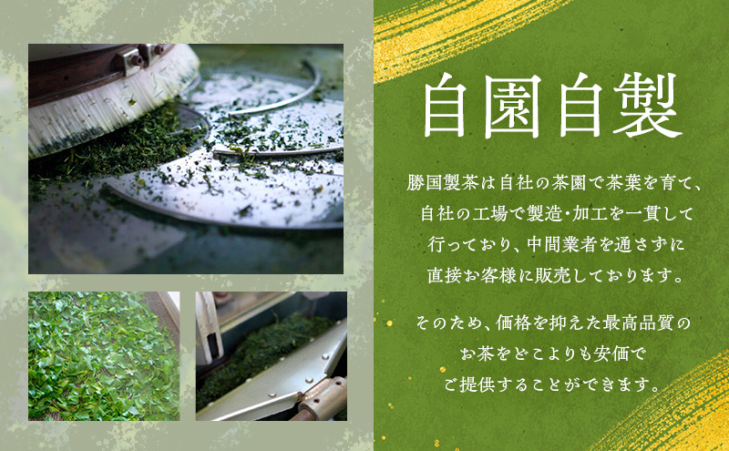 粉末緑茶 20g （1g×20本） 5袋セット お茶 スティック