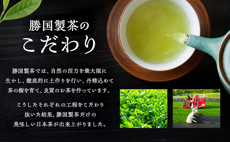 煎茶 ティーバッグ 75g（5g×15包） 5袋セット お茶