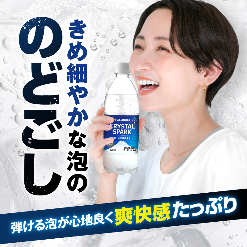 炭酸水 定期便 3ヶ月毎2回 富士山の強炭酸水 500ml 24本 ドリンク アイリスオーヤマ