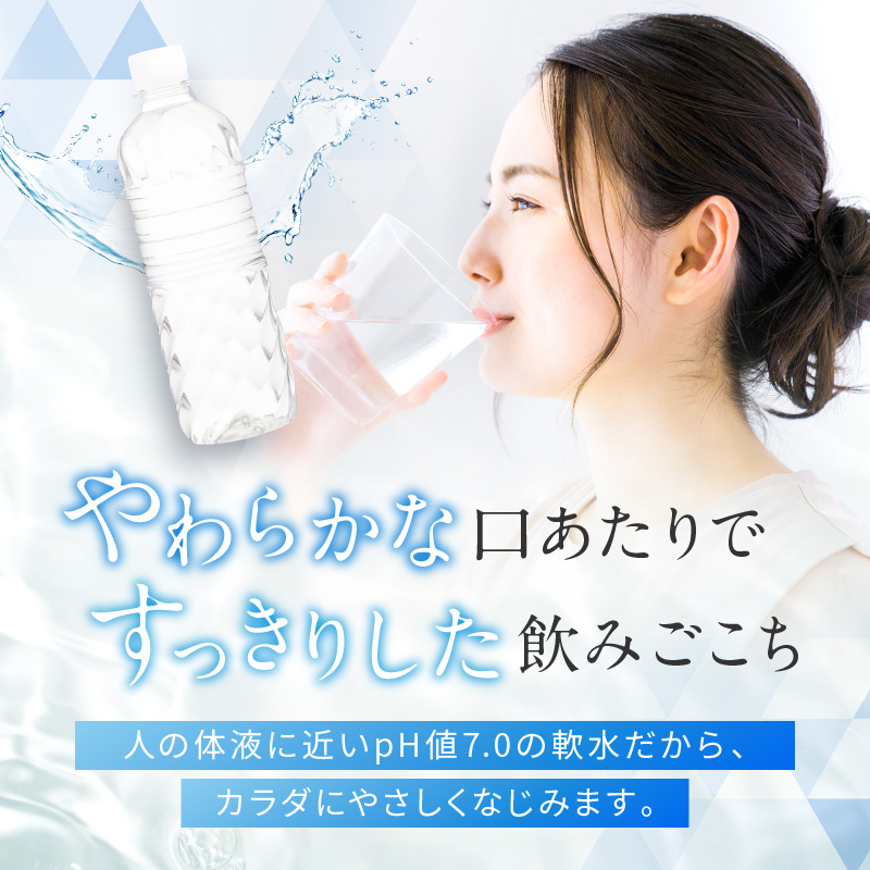 水 定期便 2ヵ月 富士山の天然水 500ml 24本 ラベルレス 天然水 アイリスオーヤマ