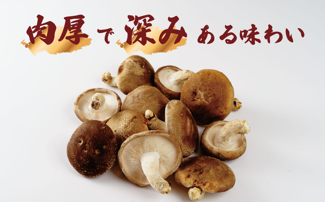 010-002　原木栽培の生しいたけ