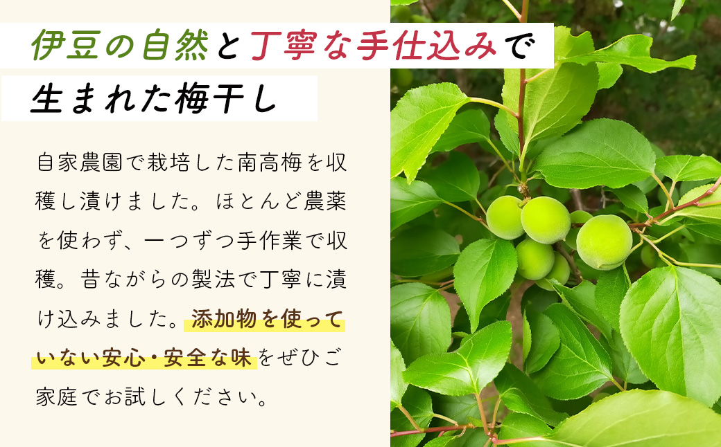 (数量限定） 伊豆 天城農園 青い鳥 グランパ 梅干し 160g×4パック 【梅 無添加 減塩 数量限定 】015-007