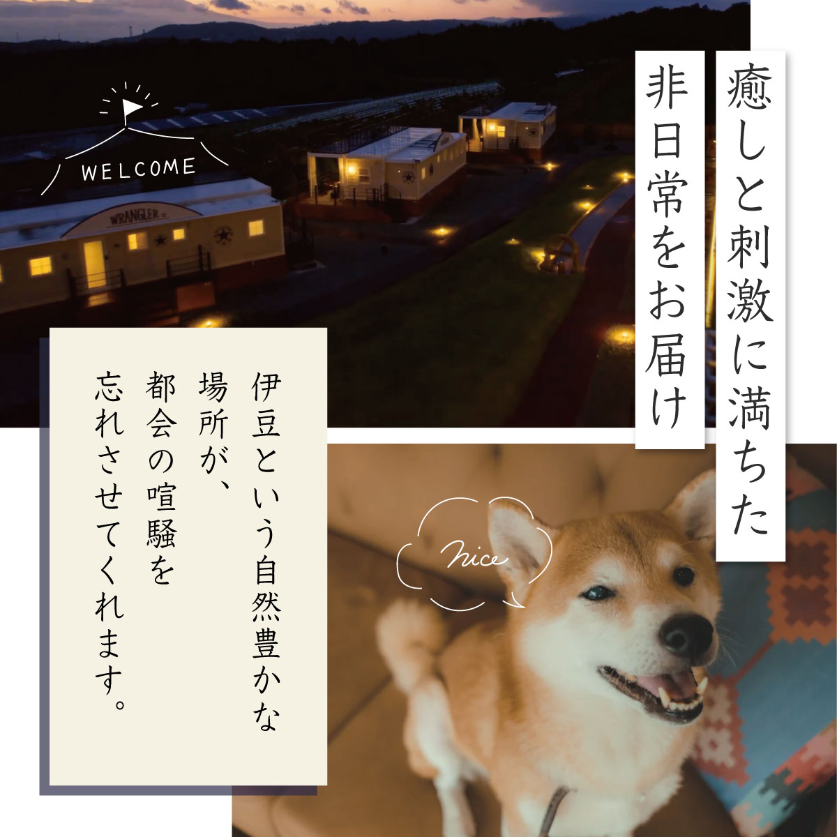 【グランピング】中伊豆EAST WINDS VILLAGE 宿泊補助券30,000円分　10-014