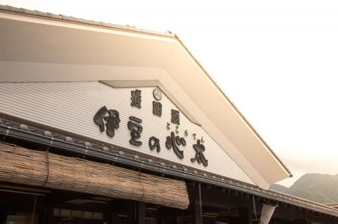 伊豆の心太　丸カップ食べくらべセット12ヶ入（三杯酢・黒みつ・わさび）