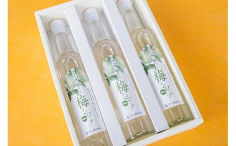 梅シロップ500ml×３本（化粧箱・ラッピング込み）セット015-001