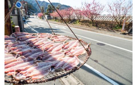【水天丸水産】ひものセット①010-013