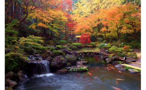 【宙ＳＯＲＡ渡月荘金龍】宿泊券（4名様まで） ( 1泊 2食付 ） 70-001