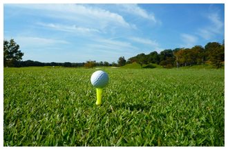 【コガワグリーンゴルフ】7かごプリカ３枚セット（１かご50球×7かごプリカ×３枚=1050球）　030-006