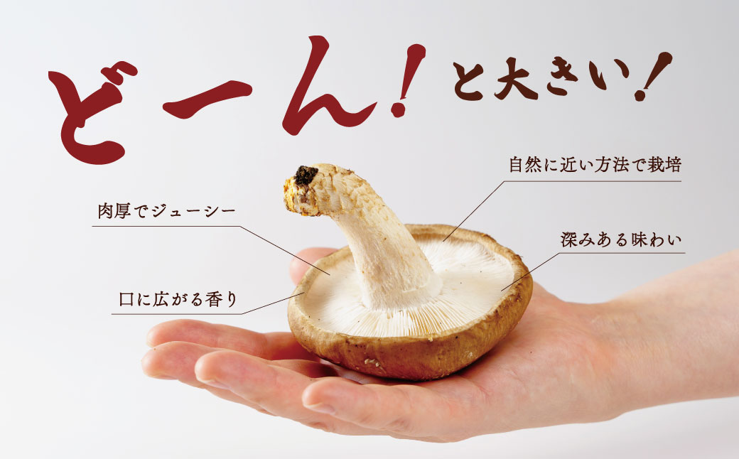 010-002　原木栽培の生しいたけ