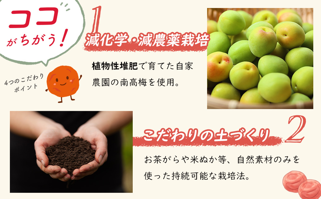 (数量限定） 伊豆 天城農園 青い鳥 グランパ 梅干し 160g×4パック 【梅 無添加 減塩 数量限定 】015-007