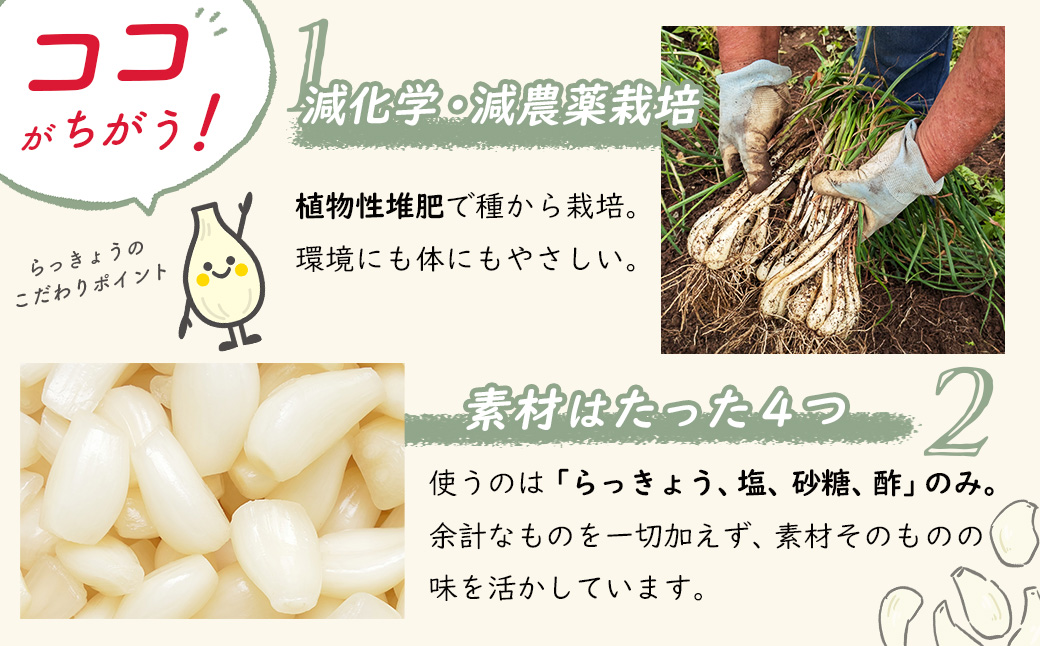 (数量限定） 伊豆 天城農園 青い鳥 グランパ 梅干し 160g×2パック・グランマ らっきょうの甘酢漬け 130g×2パック 【梅 無添加 減塩 らっきょう 数量限定 】015-009