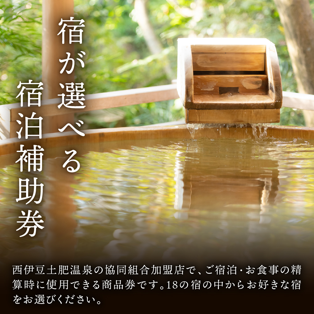 土肥温泉旅館協同組合商品券（300,000円分） 100-005