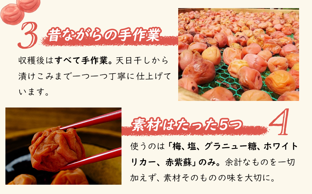 (数量限定） 伊豆 天城農園 青い鳥 グランパ 梅干し 160g×4パック 【梅 無添加 減塩 数量限定 】015-007