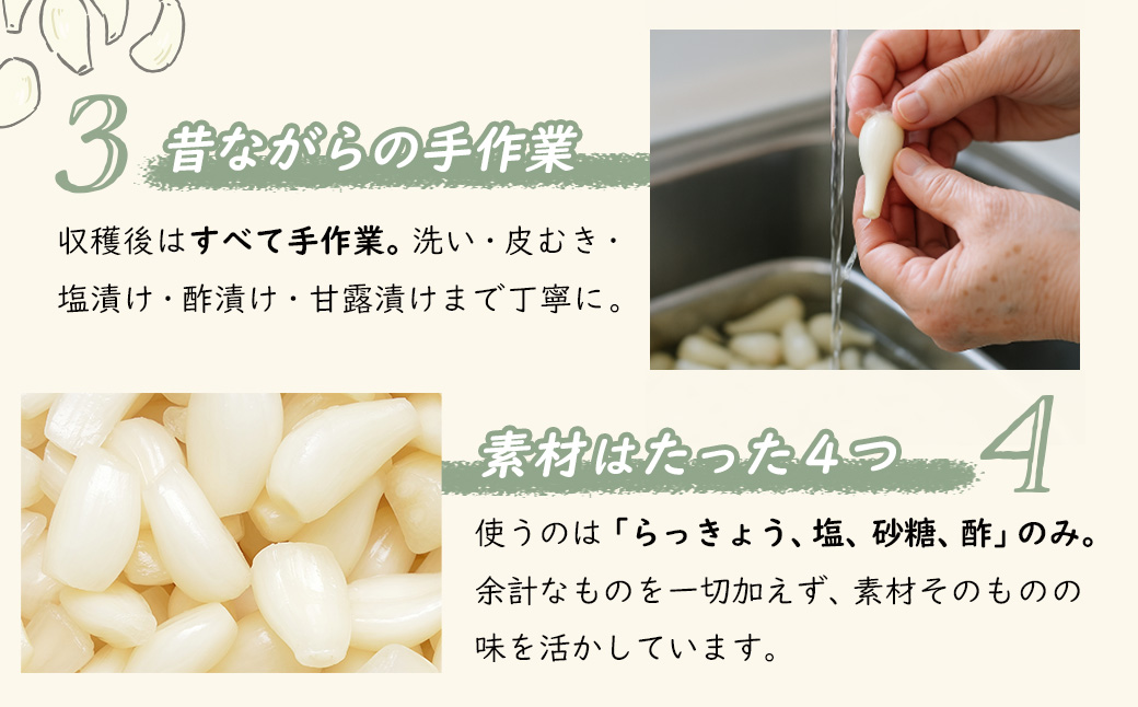 (数量限定） 伊豆 天城農園 青い鳥 らっきょうの甘酢漬け 130g×4パック【無添加 減塩 らっきょう 数量限定 】015-008