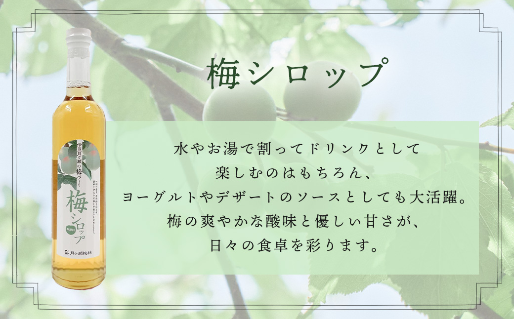 【伊豆市ブランド認定】梅とびわ香る伊豆の癒しセット〈AMAGIFT〉びわ茶・梅シロップ・エコバッグ入り