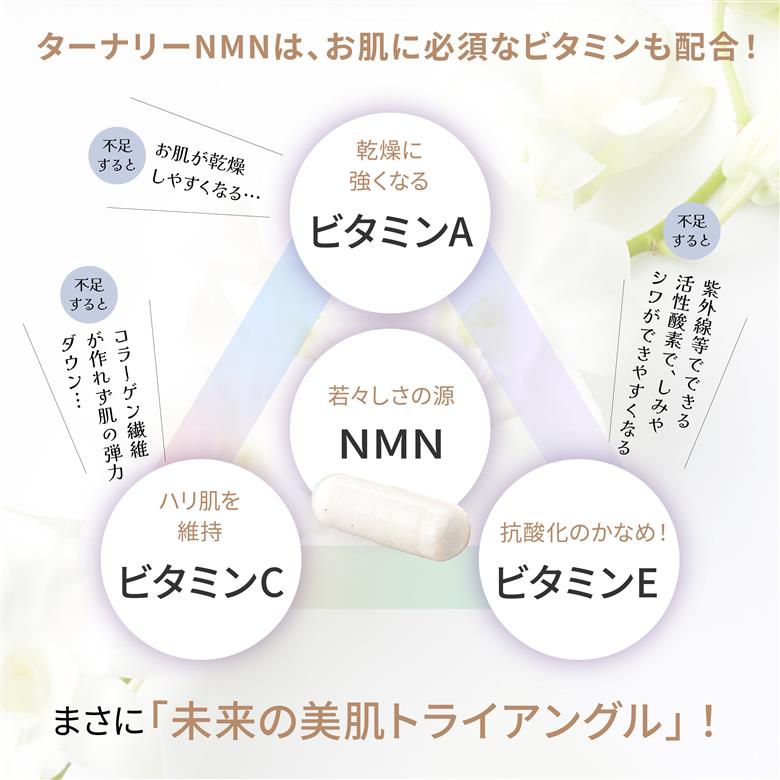 ターナリーNMN（60粒入パウチ）×4袋 （60粒入パウチ）×4袋