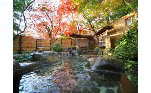 【新井旅館】宿泊券（1名様）