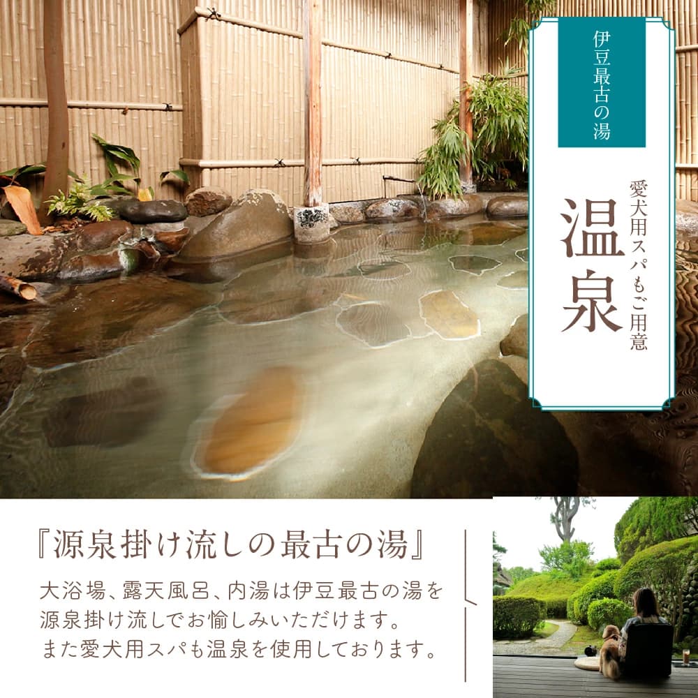 修善寺温泉 修善寺絆＋ 愛犬と一緒にお泊り 商品券 90,000円分 【静岡県 伊豆市 温泉 温泉宿 宿泊券 宿泊 旅行 旅行クーポン 商品券 補助券 ペット ホテル お泊り ペット 愛犬 犬 いぬ イヌ 家族 ファミリー 友達 友人 カップル 夫婦 宿泊券 補助券 チケット 利用券 贅沢 旅行 家族旅行 卒業旅行 記念旅行 記念日 お祝い 誕生日 卒業 結婚 還暦 ご褒美 】30-012