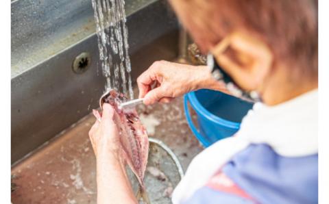 【水天丸水産】ひものセット②030-003