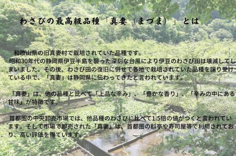 伊豆本格生わさび「真妻」堪能セット　012-005