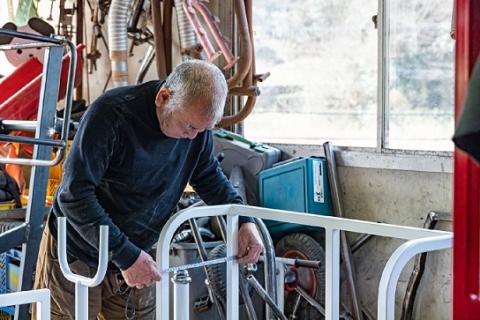 【おもしろ自転車】かえるサイクル　70-007
