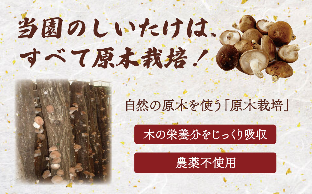 010-002　原木栽培の生しいたけ