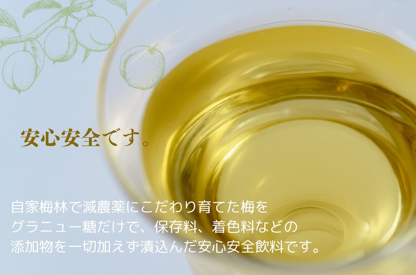 月ヶ瀬梅シロップ 500ml 6本 セット028-001