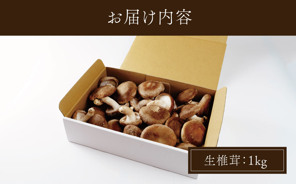 010-002　原木栽培の生しいたけ