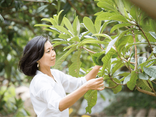【自然療法 サロンミモザ】ココロも カラダも ほわっと 土肥産 白びわ ほわっとびわOIL(100ml)とほわっとびわ石鹸(100g)セット