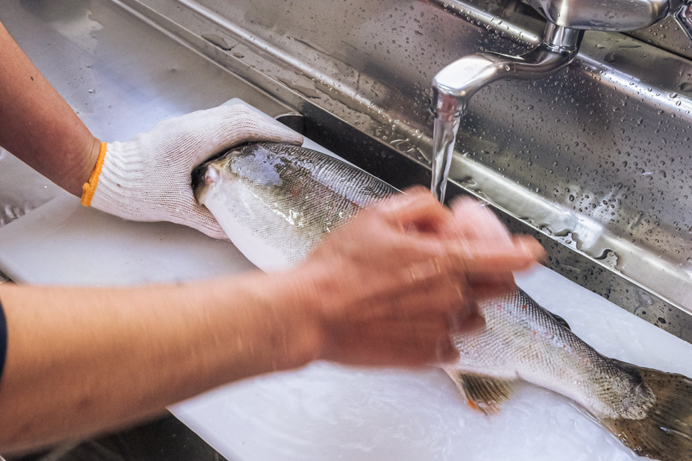 B-058　わさび田の渓流育ち「天城のあまご」を食べ尽くす特別メニューお食事券（2名様）
