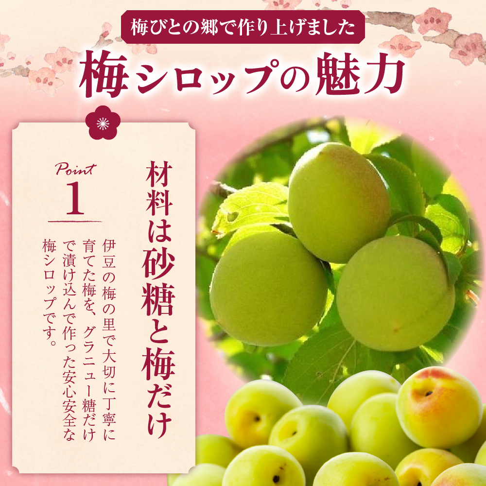 梅シロップ500ml×３本（化粧箱・ラッピング込み）セット015-001