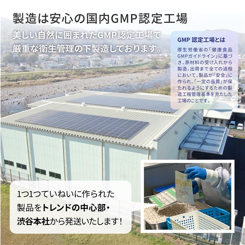 ターナリーNMN（60粒入パウチ）×4袋 （60粒入パウチ）×4袋