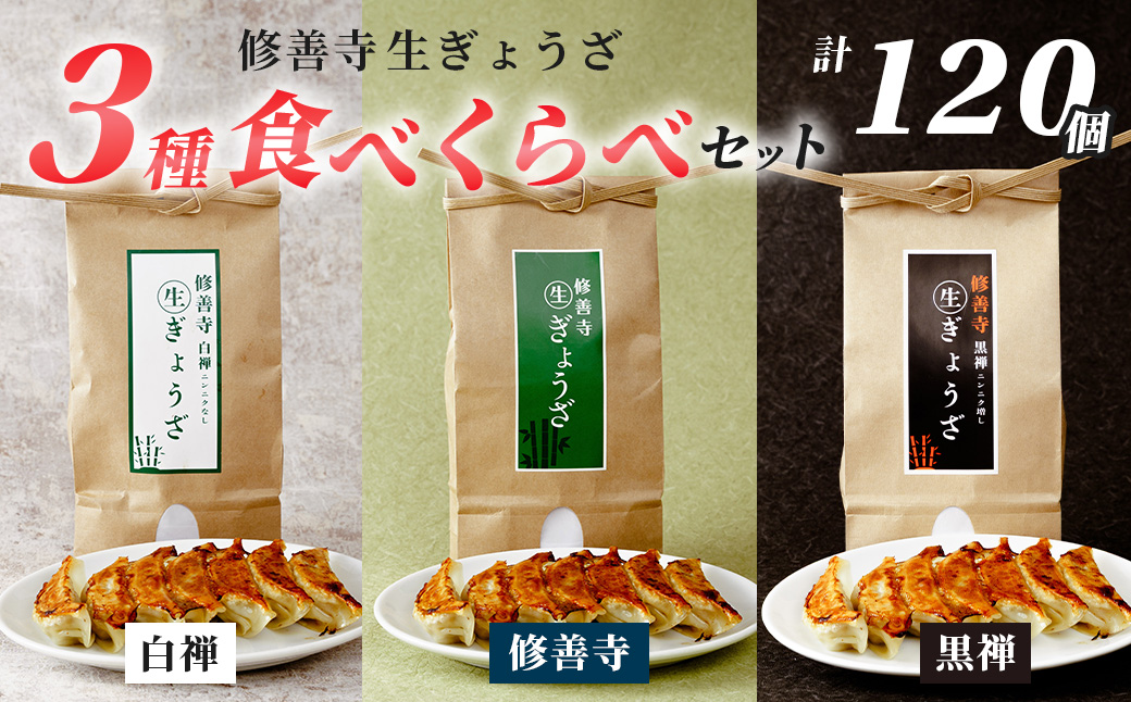 修善寺 生 ぎょうざ ３種 食べくらべ セット 120個（冷凍）餃子|020-020