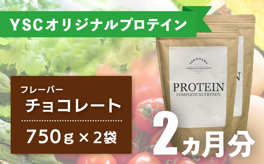 YOKOHAMA STRENGTH & CONDITIONING PROTEIN COMPLETE NUTRITION　2ヶ月分 ホエイプロテインパウダー チョコレート風味 ドリンク メンテナンス ホエイ 健康 体 維持 [039-002]