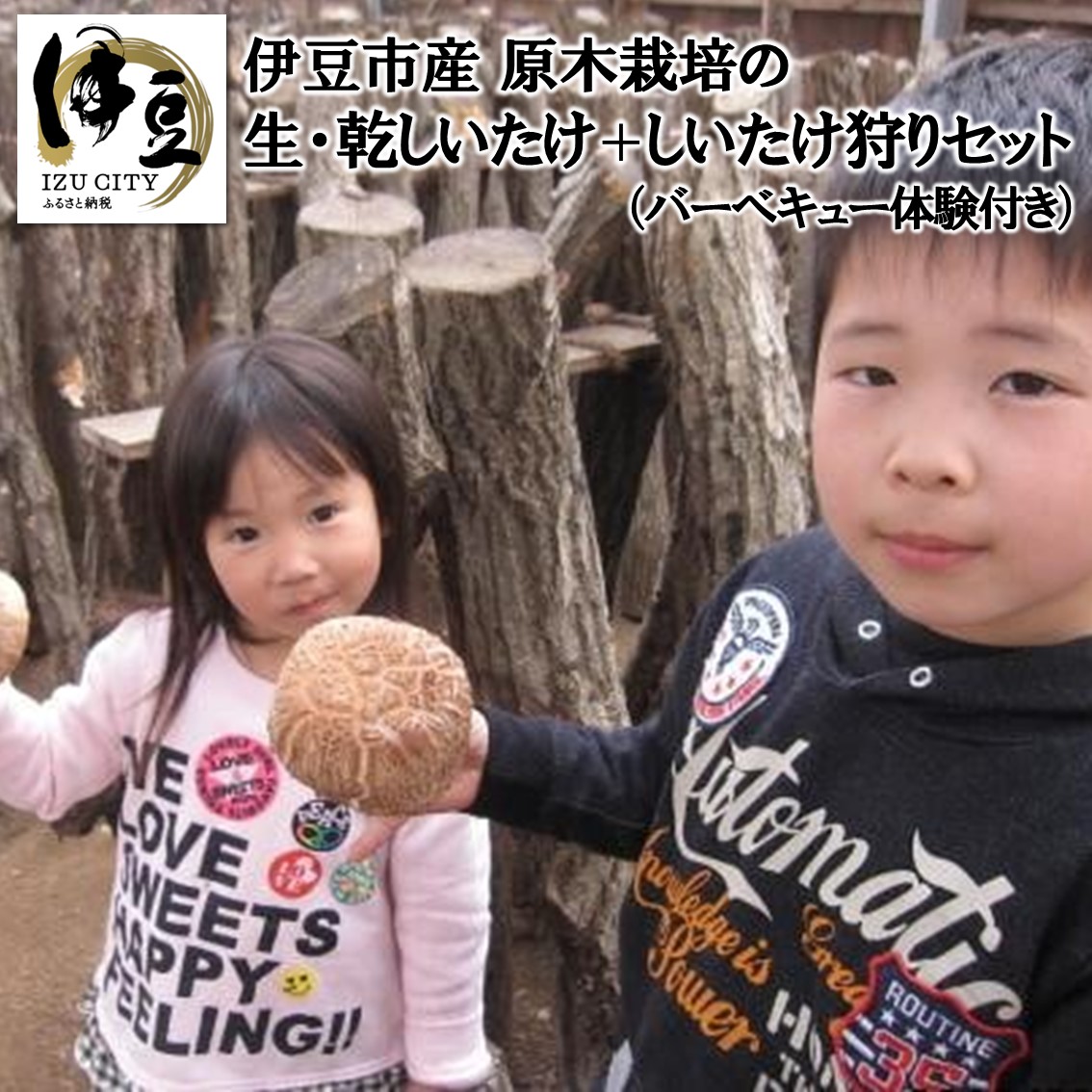 044-001　原木栽培の乾しいたけ・生しいたけ・しいたけ狩りセット