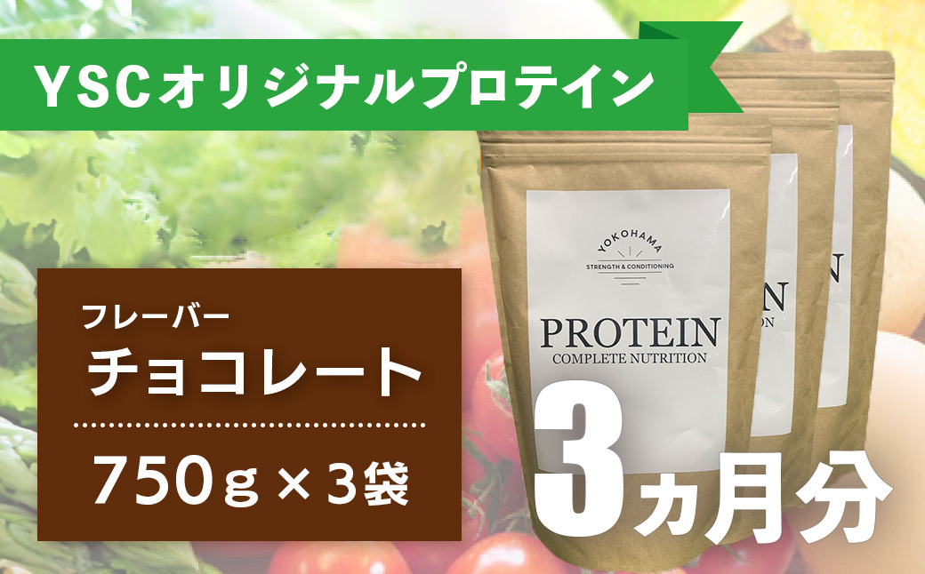 YOKOHAMA STRENGTH & CONDITIONING PROTEIN COMPLETE NUTRITION　3ヶ月分 ホエイプロテインパウダー チョコレート風味 ドリンク メンテナンス ホエイ 健康 体 維持 [057-001]