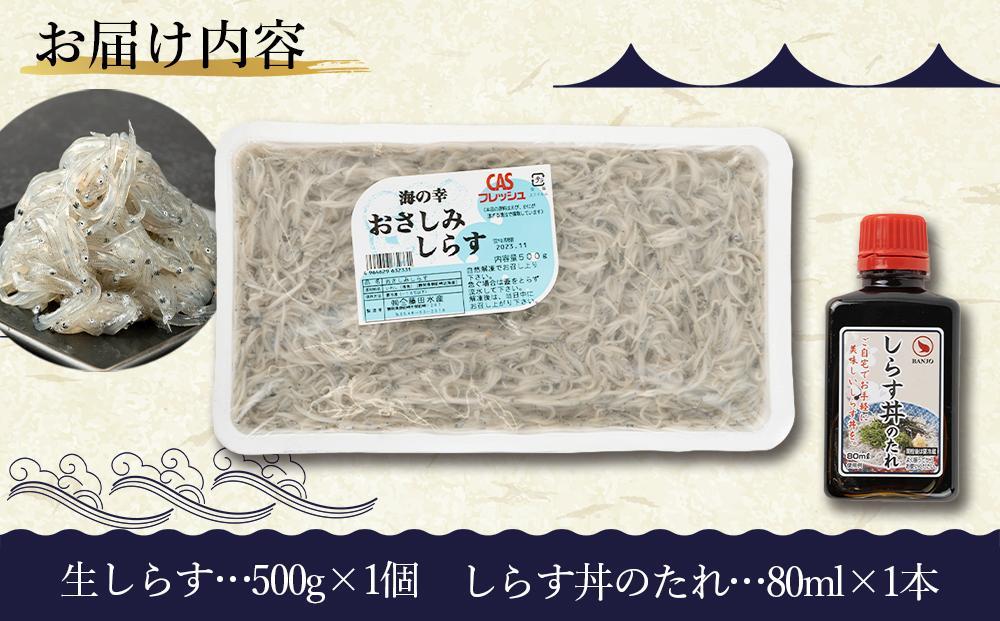 訳アリ　厳選生しらす　500g　おさしみしらす AR007