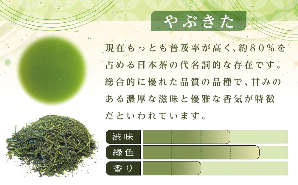 天皇杯受賞茶園 やままのお茶　特蒸し一番茶仕立　やぶきた茶