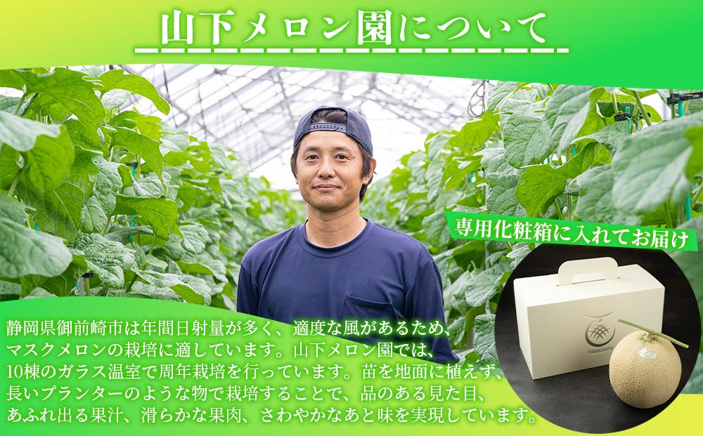 静岡温室メロン  M玉約1.4kg×2玉 最高級のマスクメロン 山下メロン園 高級果実店に仕入るほどの自信のあるメロン ギフト メロン めろん 箱詰め フルーツ 果物  産地直送 甘いメロン 糖度  青肉 高級 百貨店